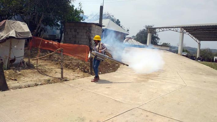 Toman Medidas De Control Contra Dengue Diario V A Libre