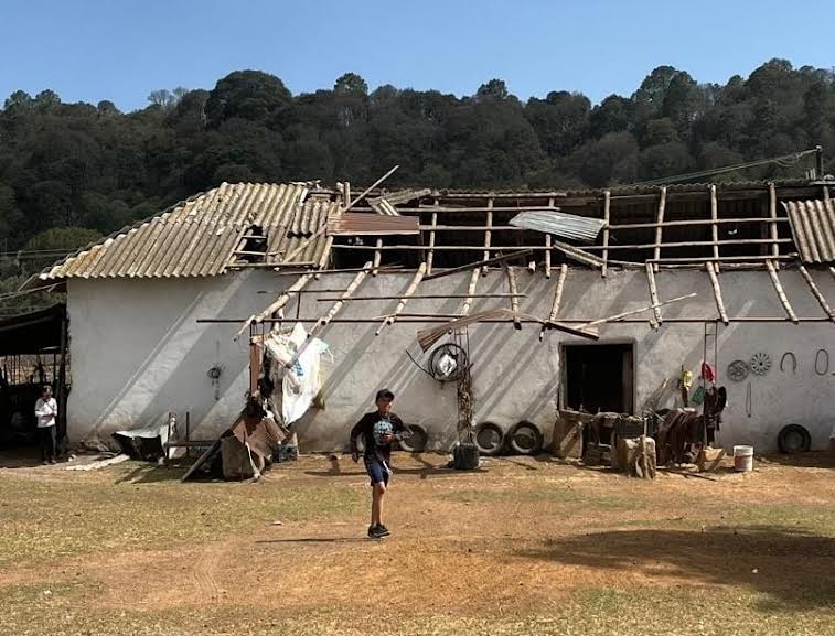 Cuantiosos daños materiales deja un supuesto tornado Diario Vía Libre