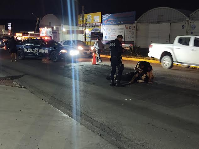 Motociclista lesionado al ser atropellado