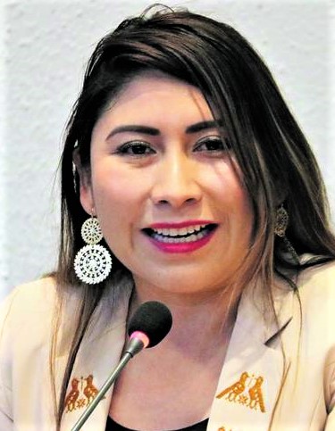 *Negocios municipales