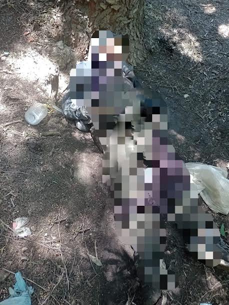Localizan sin vida a un hombre en situación de calle