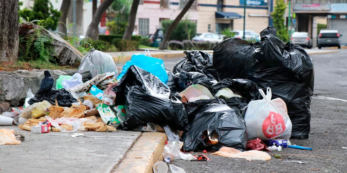 Multas A Quien Tire Basura En Vigor El 1 De Septiembre Diario Vía Libre