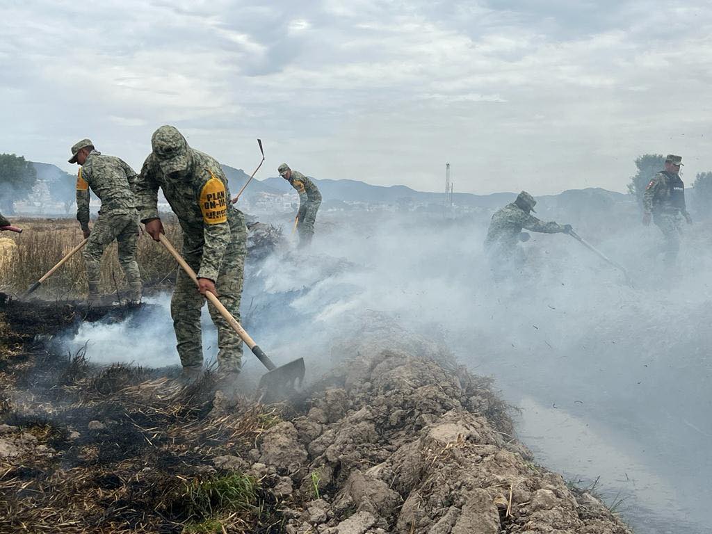 Sofocan Incendio En Un Pastizal Diario V A Libre