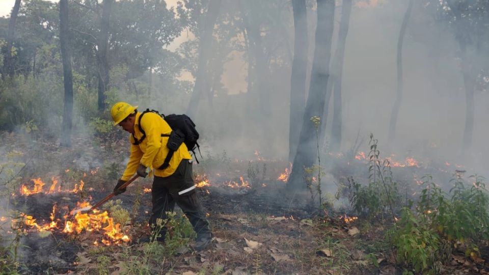 45 incendios forestales en el primer trimestre: PC