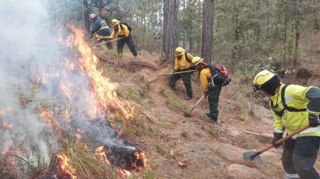 Aclara Protección Civil atención aincendio forestal en La Compaña
