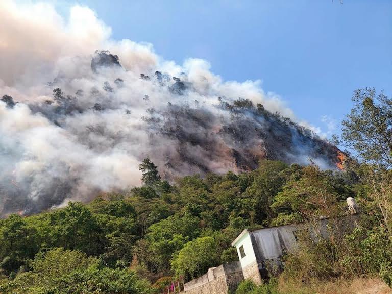Controlan incendio forestal