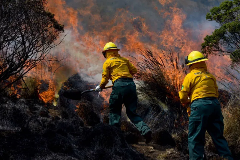 Continúa combate a incendio forestal