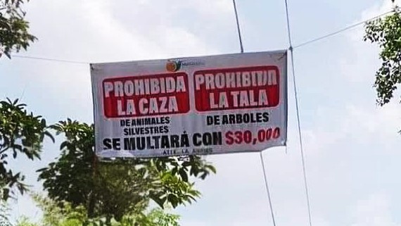 Multan a cazadores furtivos y taladores