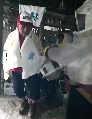 Sexagenario recibe cien piquetes de abejas