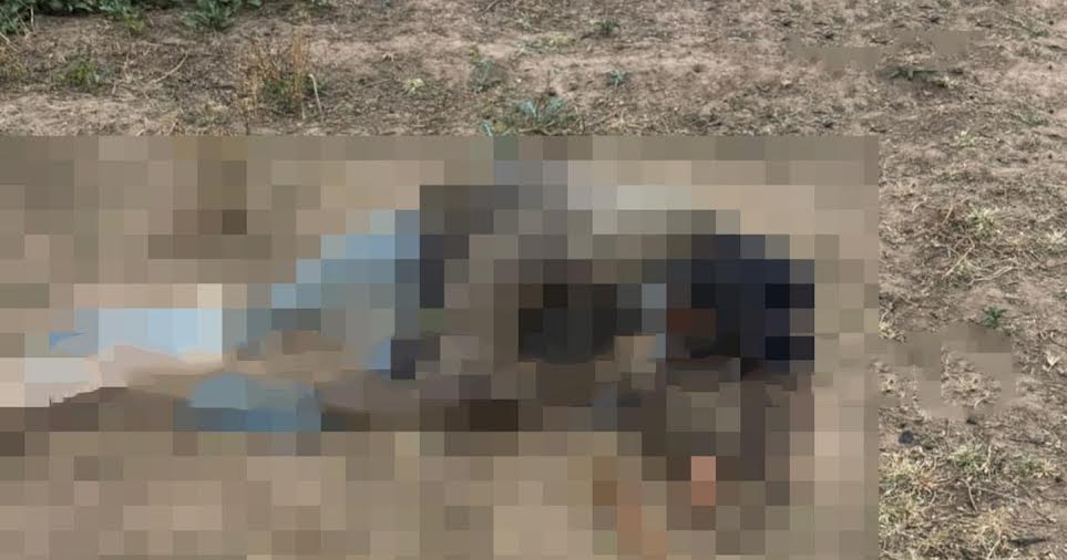 Hallan a hombre sin vida en una barranca