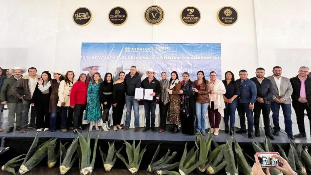 Hidalgo, líder nacional en producción de maguey pulquero