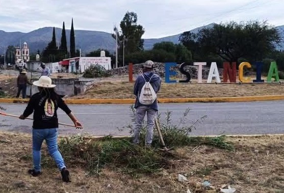 Realizarán ciudadanos la reforestación de Actopan