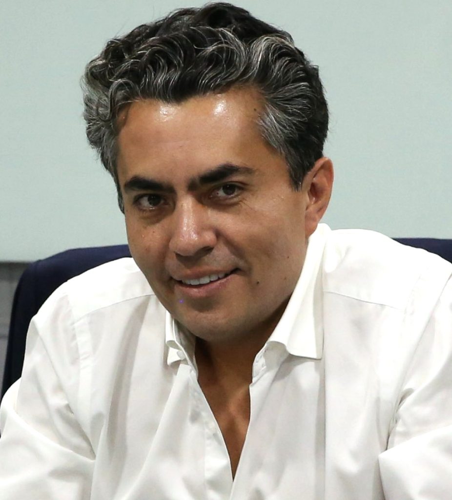 *Reforestación política