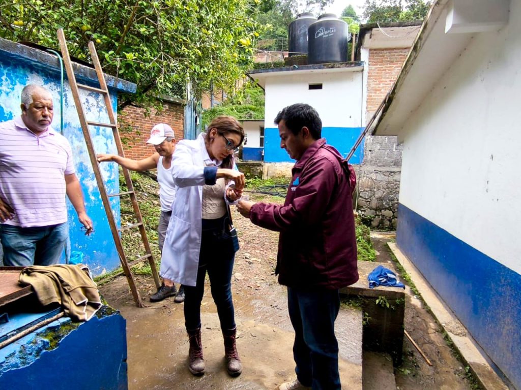 Combaten enfermedades por vectores en la Tepehua