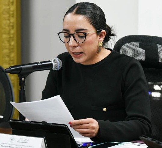 Descarta Mónica Leanett intención de presidir Panalh