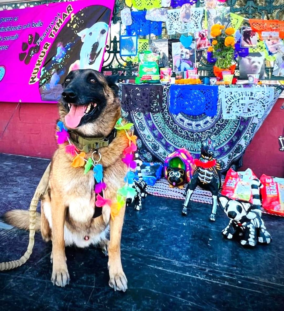 Evento con causa en El Real, el domingo