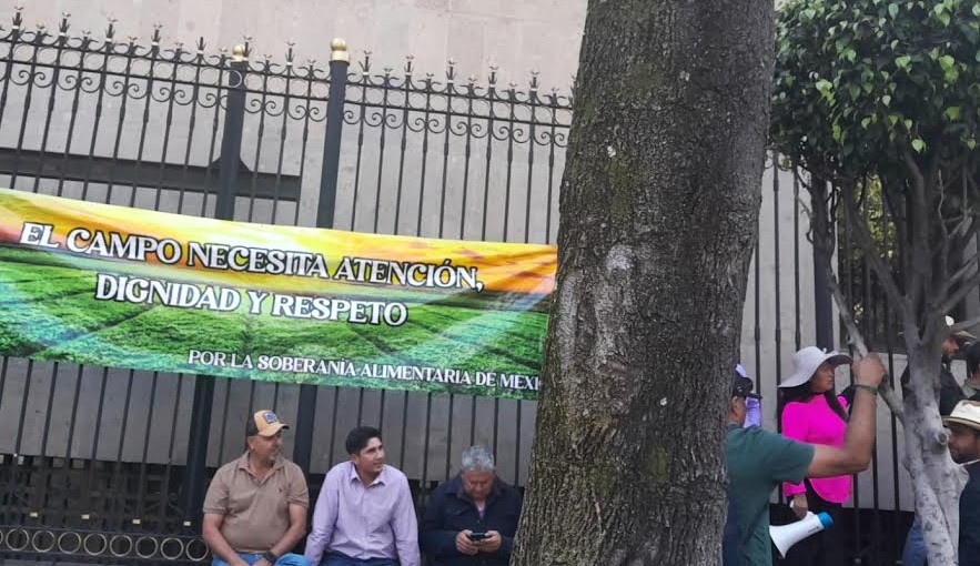 Negativa del gobierno federal a incremento en precio del maíz