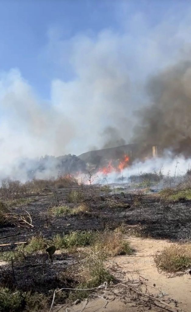Incendio junto a la Supervía Colosio