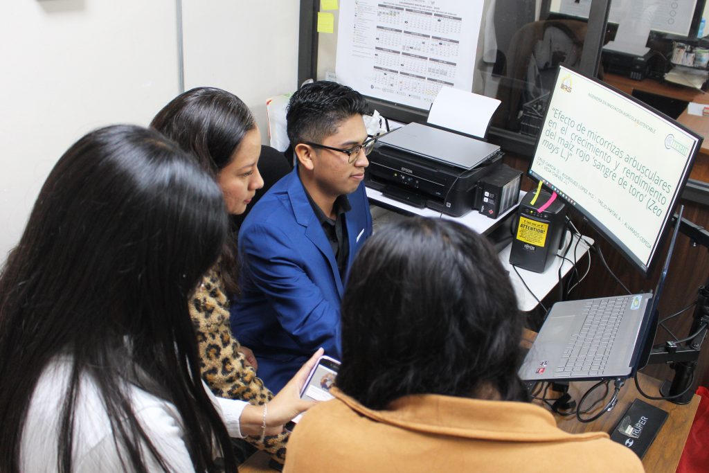 Investigación ITESUH aumenta la productividad del maíz rojo