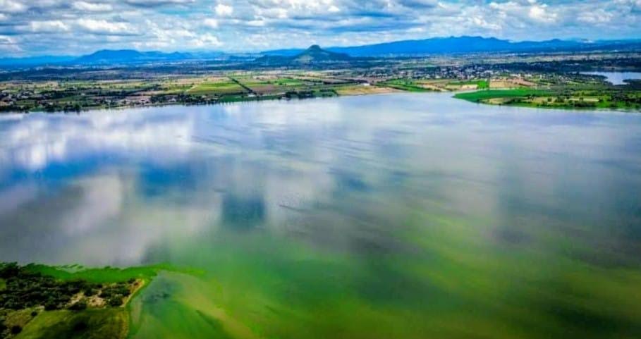 Declaran 217 hectáreas reserva natural protegida