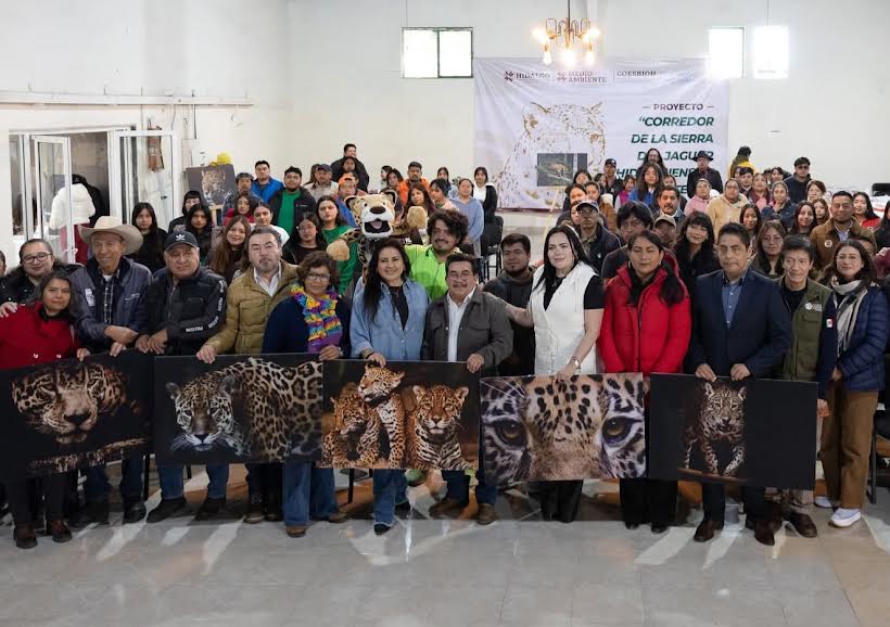 Definen acciones para conservación del jaguar