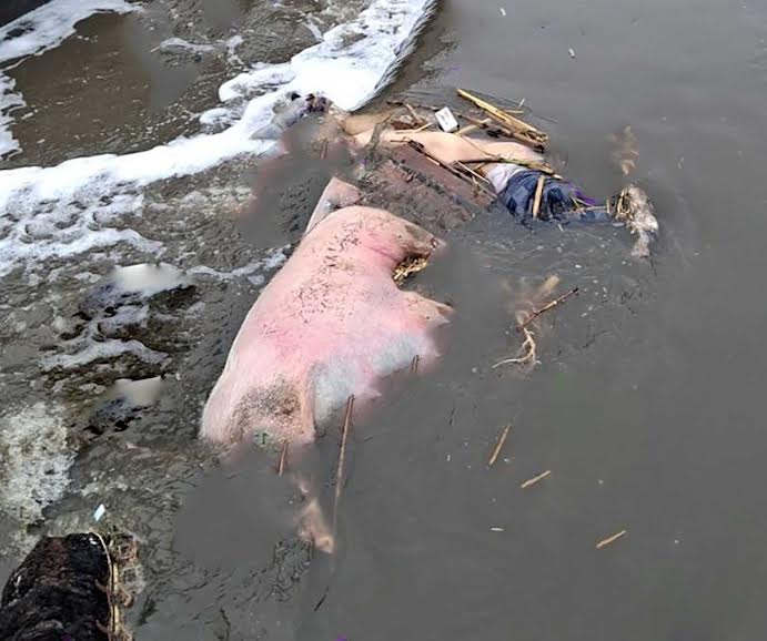 Localizan cuerpo en canal de riego