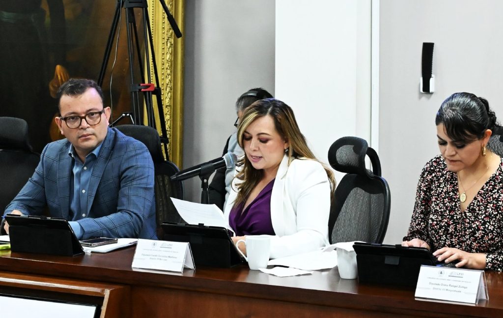 Reforzarán control sanitario en veterinarias de Hidalgo