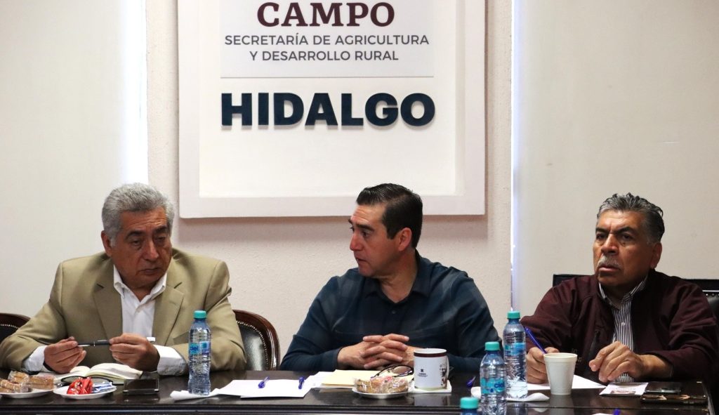 Refuerzan control del gusano barrenador