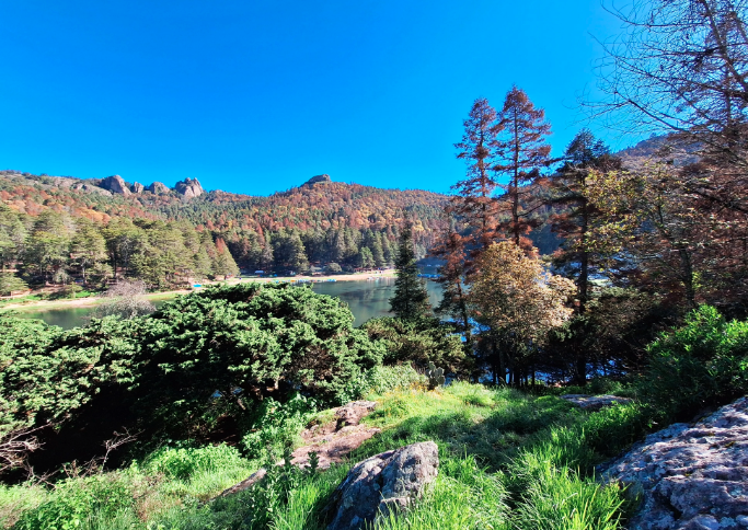 Persiste emergencia en bosque El Hiloche