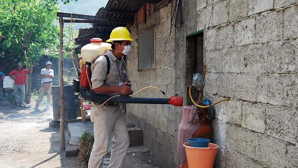 Refuerzan prevención contra dengue y zika