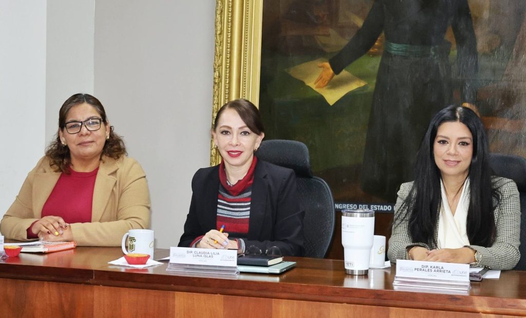 Intervención extranjera, nulidad en elecciones