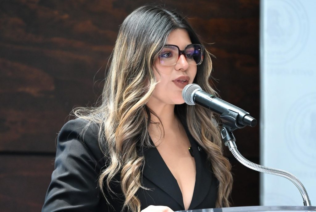 Opiniones técnicas no deben frenar iniciativas
