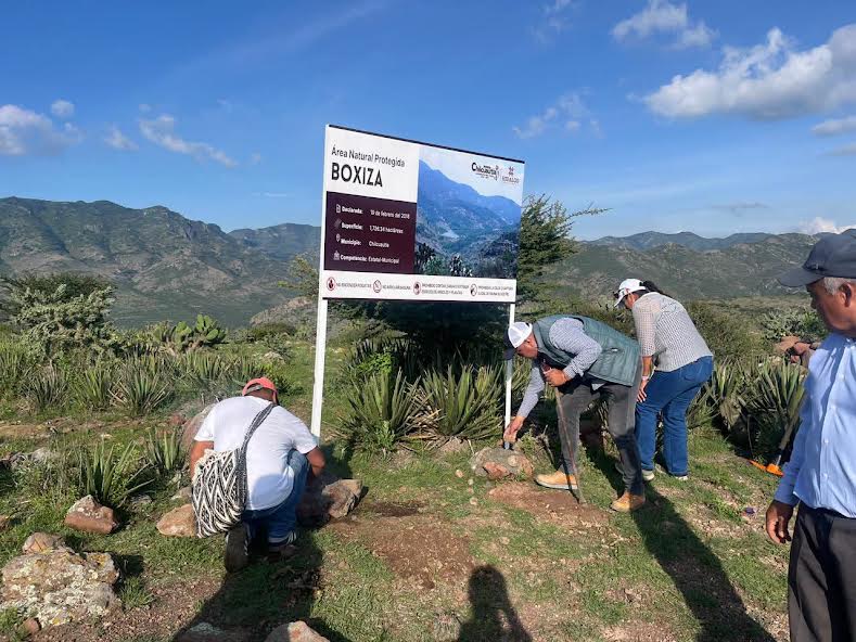 Boxiza es área natural protegida de Chilcuautla