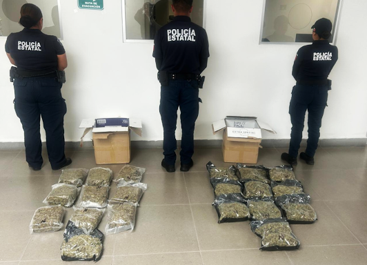 Interceptan en paquetería cargamento de marihuana