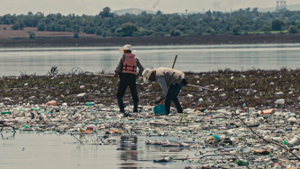 Productores de la ribera de Endhó pierden hasta el 80% de animales