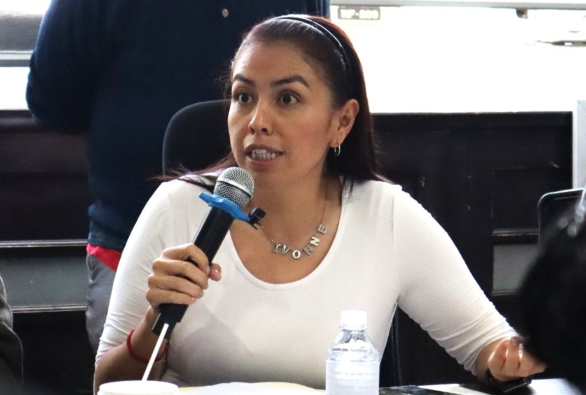TEEH obliga a entregar información; regidora