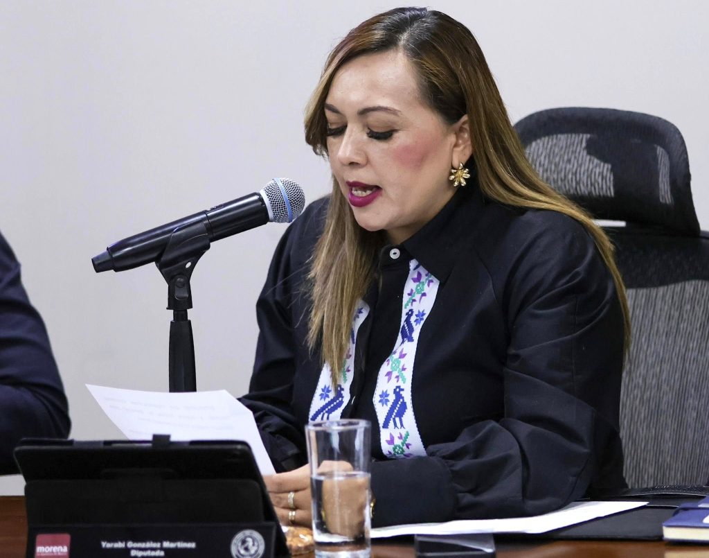 Van contra tala ilegal y especulación de tierras