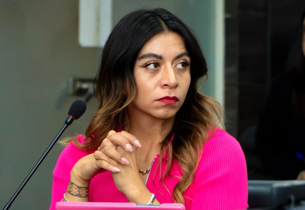 Consejera denuncia obstrucción en el IEEH