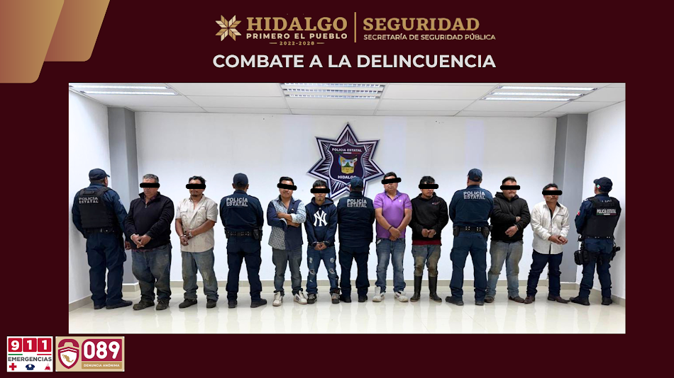 Detienen a 8 personas por la tala clandestina