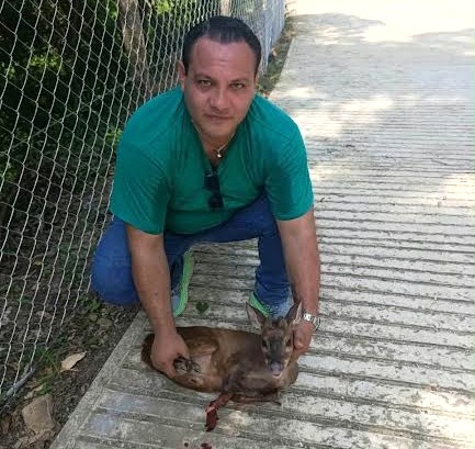 Docente pone a salvo a venado en Atlapexco