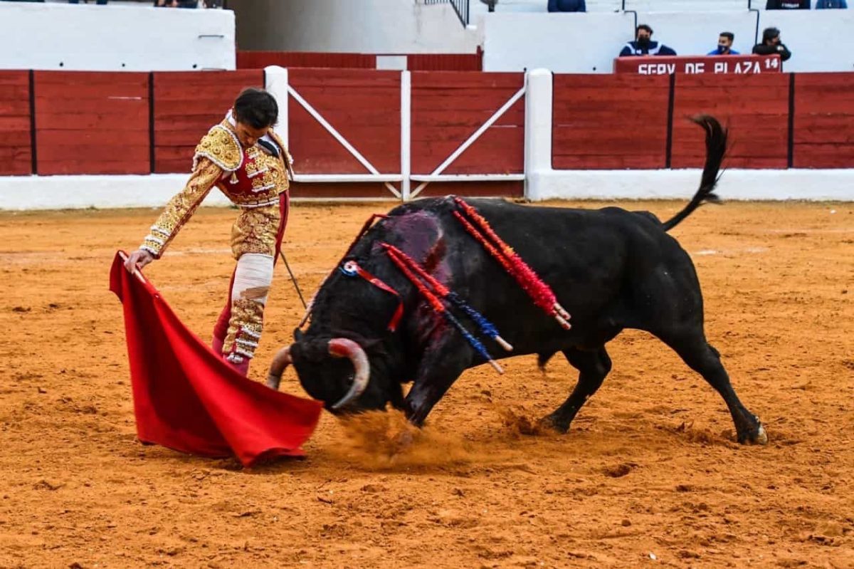 INE analiza apoyo para la consulta sobre tauromaquia