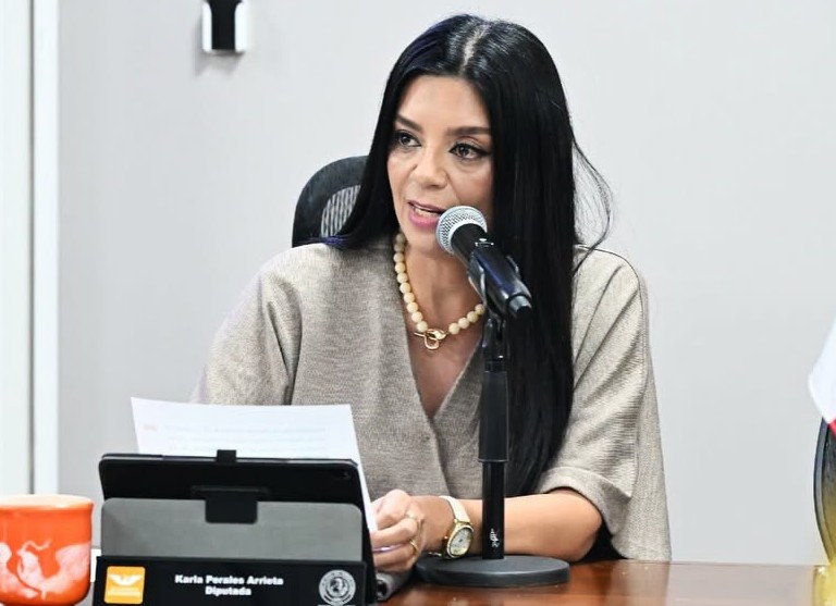 Legislar sobre transporte por aplicación: K. Perales