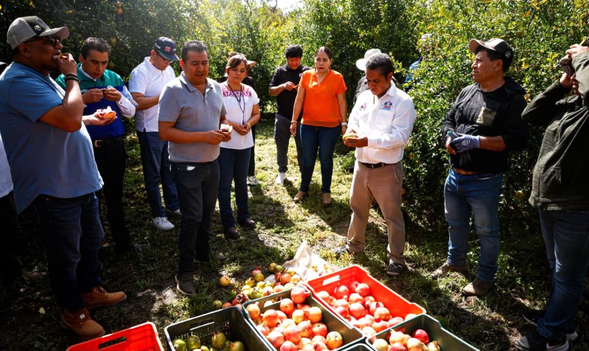 Pascual Boing y productores de granada negocian alianza