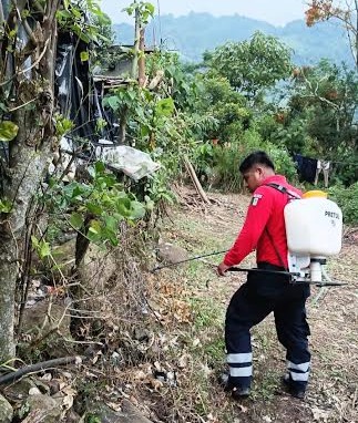 Realizan acciones de control ante presencia de organismos en Olotla